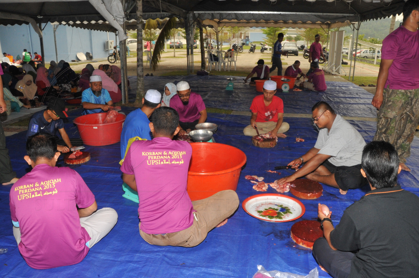 PRO15 150 KORBAN HAS 6938